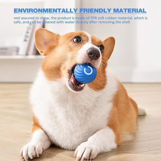 🎁 Limited Time 💨Smart Interactive Pet Ball