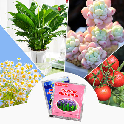 Plant Rooting Powder Nutrients