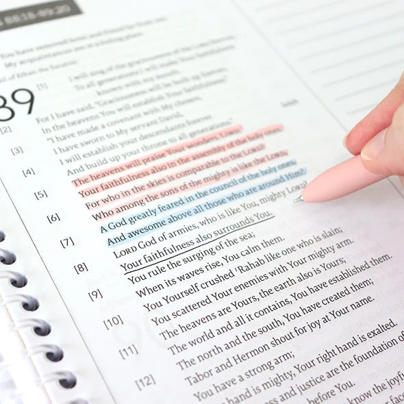 🙏🏼Week Journey Through God's Word